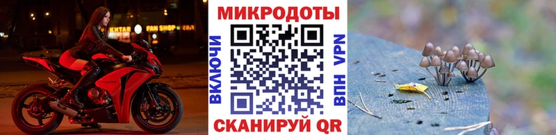 Псилоцибиновые грибы MAGIC MUSHROOMS  Купить где  Кисловодск 